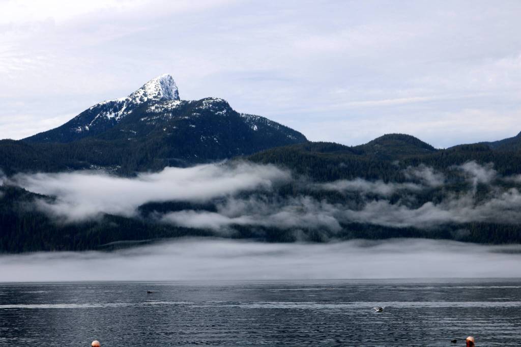 Those coming to be transformed by the natural beauty of Bute Inlet and its surrounding landscape are doing more than finding connection, they are helping fund it. (Kari Fredheim/Campbell River Mirror)