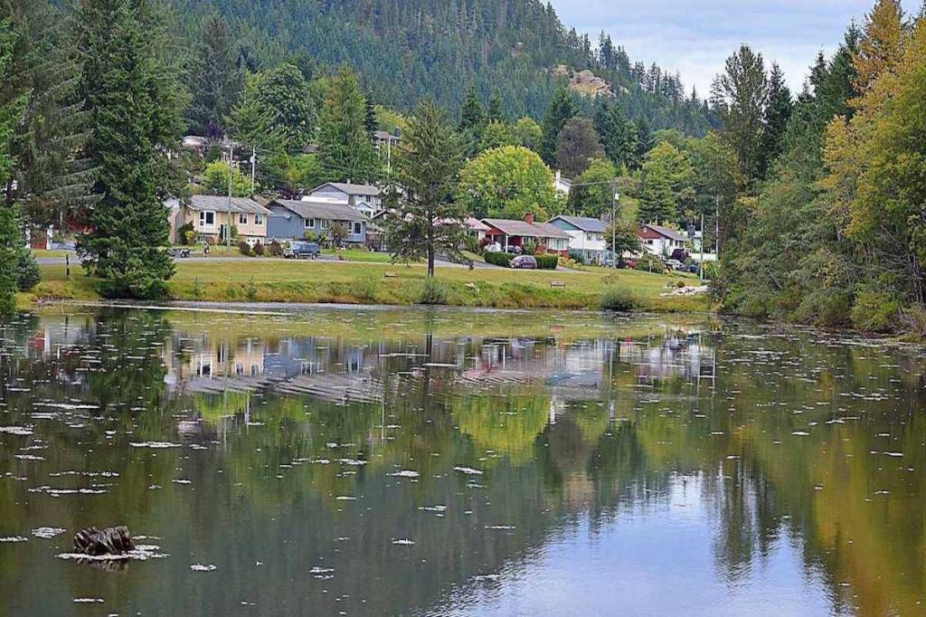 Sayward taxpayers group to hold town hall to discuss abolishing local government